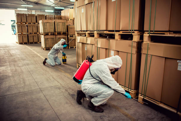 Best Pest Prevention Services  in Washington, DC