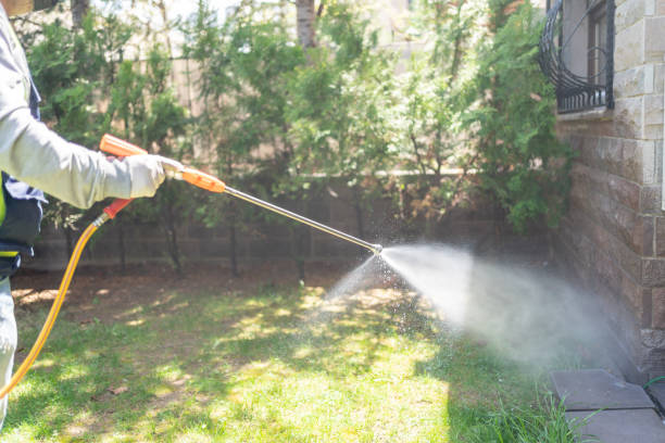 Best Best Pest Control Companies  in Washington, DC