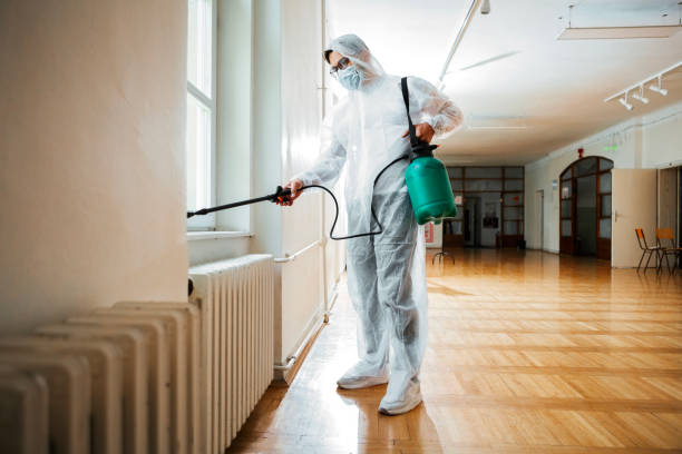 Professional Pest Control in Washington, DC
